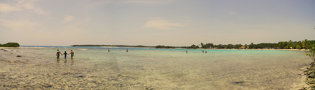 カラカスの大学都市の画像15