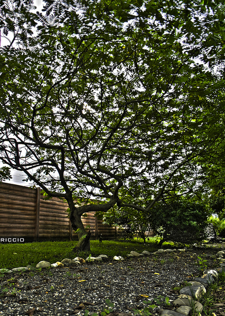 カラカスの大学都市の画像22