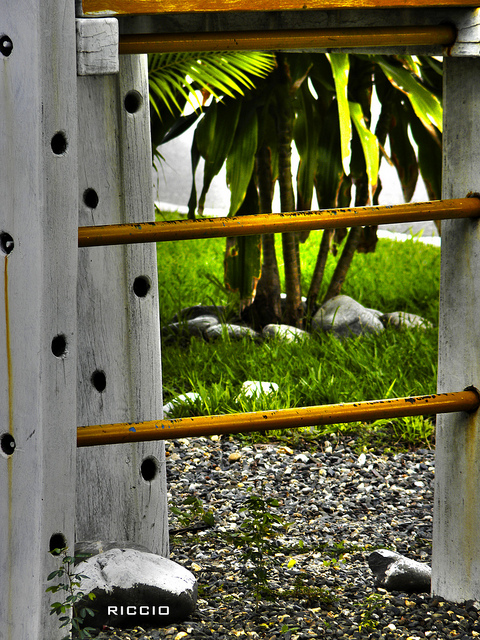 カラカスの大学都市の画像23