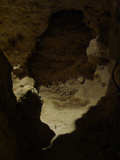 スピエンヌの新石器時代の火打石の鉱山発掘地（モンス）の画像3