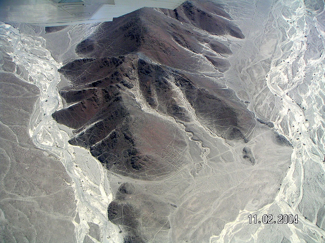 ナスカとパルパの地上絵の画像5