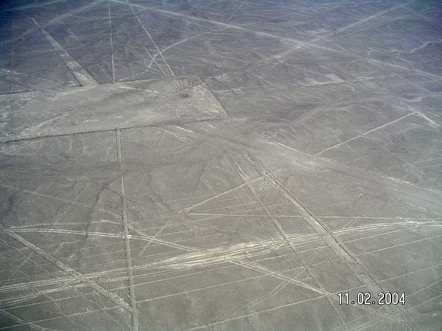 ナスカとパルパの地上絵の画像8