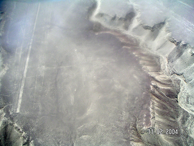 ナスカとパルパの地上絵の画像9