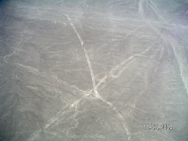 ナスカとパルパの地上絵の画像11