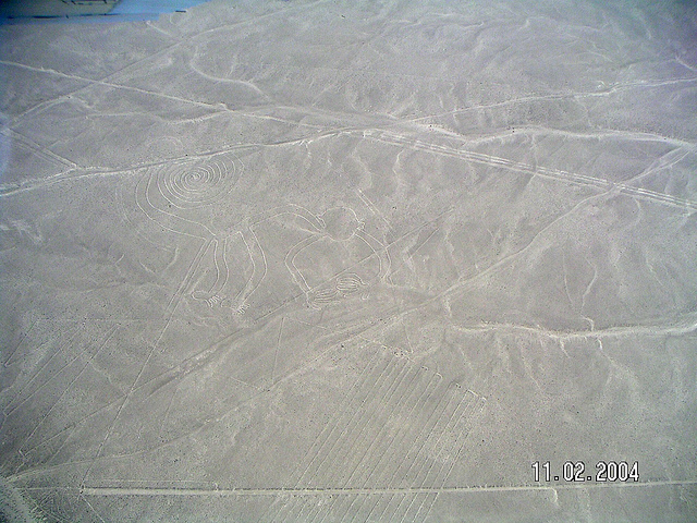 ナスカとパルパの地上絵の画像13