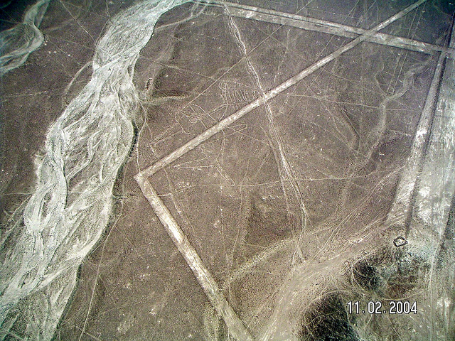 ナスカとパルパの地上絵の画像17