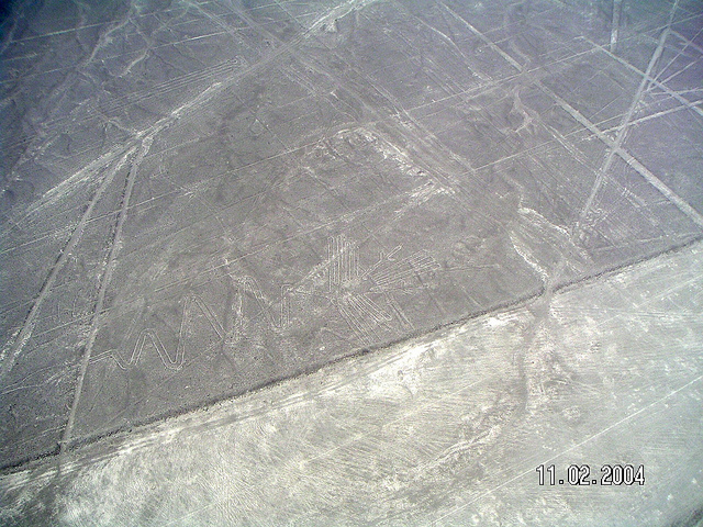 ナスカとパルパの地上絵の画像19