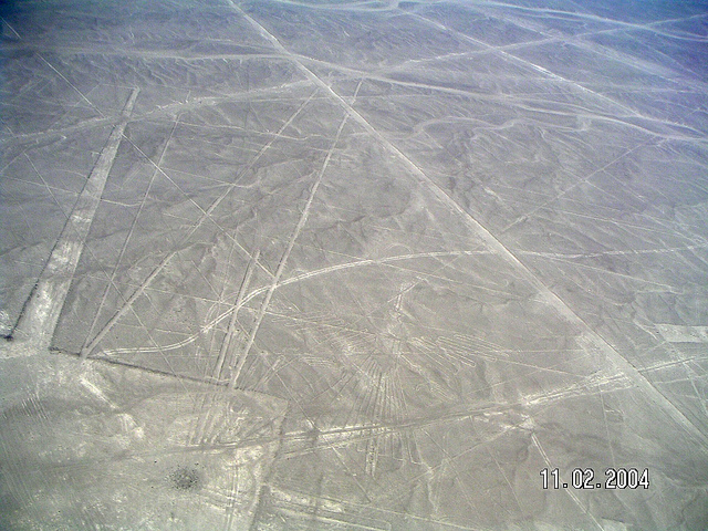 ナスカとパルパの地上絵の画像20