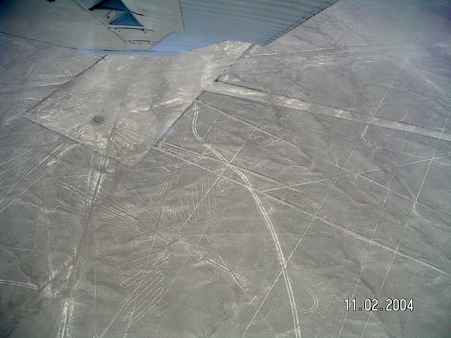 ナスカとパルパの地上絵の画像21