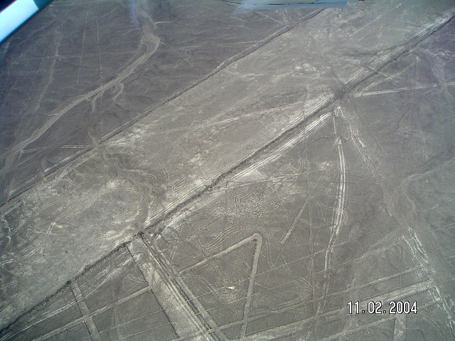 ナスカとパルパの地上絵の画像22