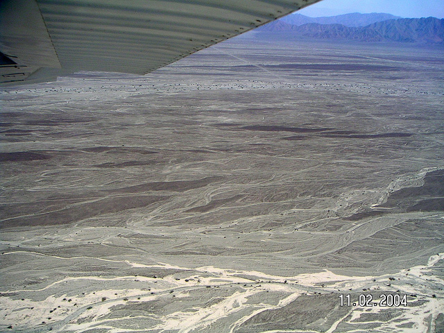 ナスカとパルパの地上絵の画像23