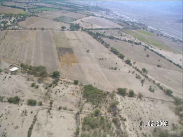 ナスカとパルパの地上絵の画像25