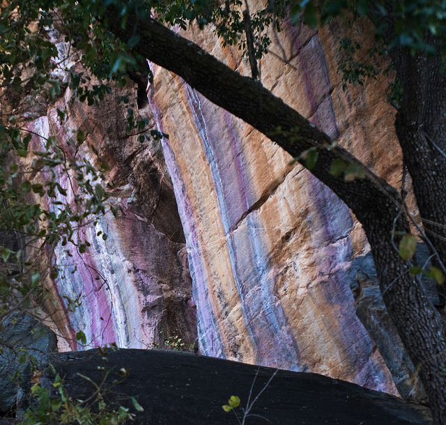 ツォディロ　の画像2