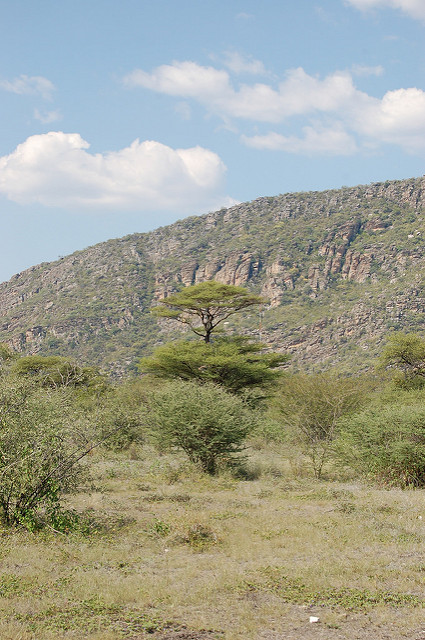 ツォディロ　の画像5