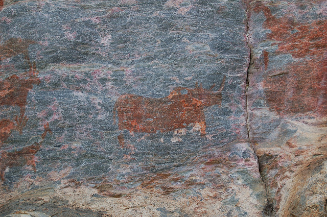 ツォディロ　の画像17