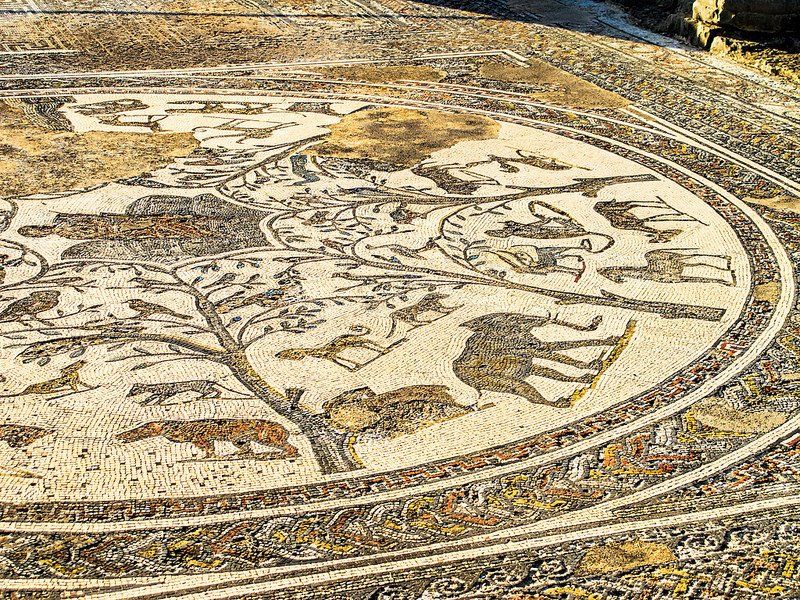 ヴォルビリスの古代遺跡の画像5