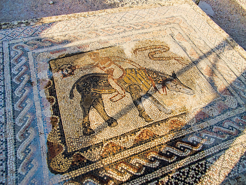 ヴォルビリスの古代遺跡の画像10