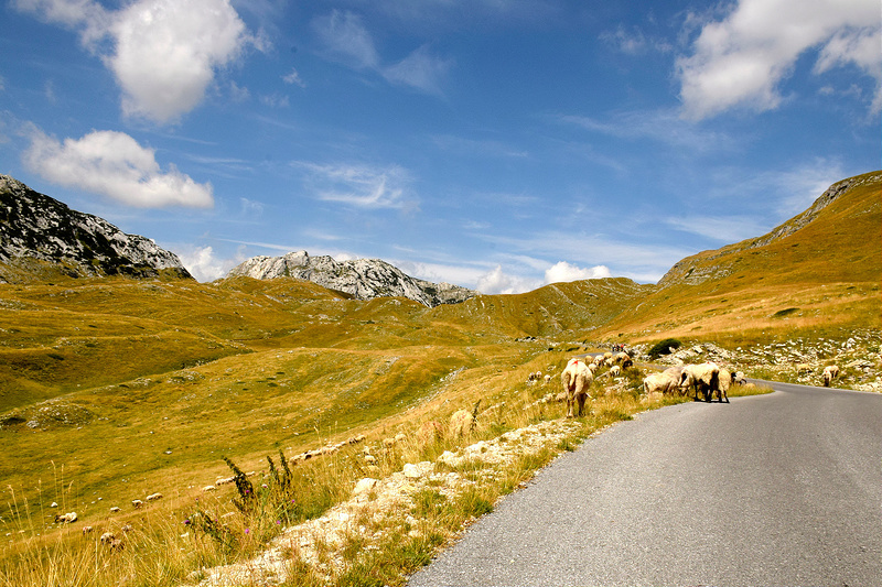 ドゥルミトル国立公園の画像3