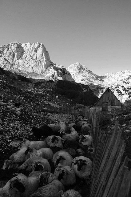 ドゥルミトル国立公園の画像16