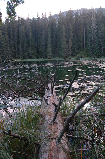 ドゥルミトル国立公園の画像23