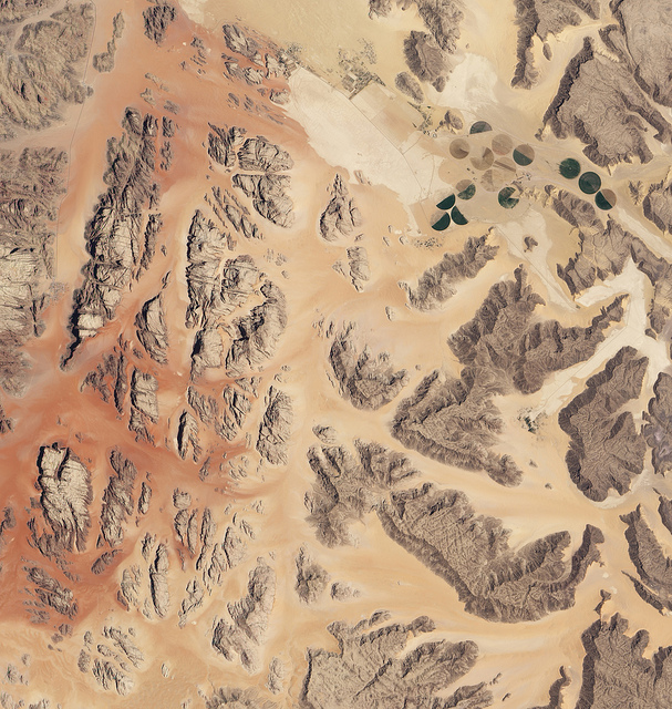 ワディ・ラム保護地域の画像5