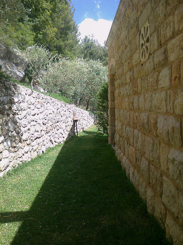 ビブロスの画像5