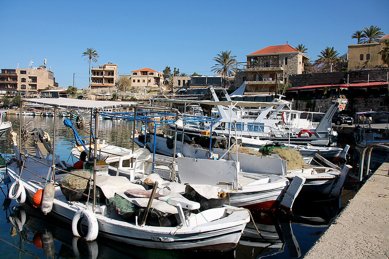 ビブロスの画像6