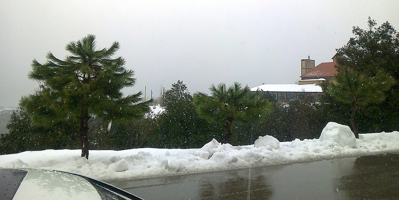 ビブロスの画像9