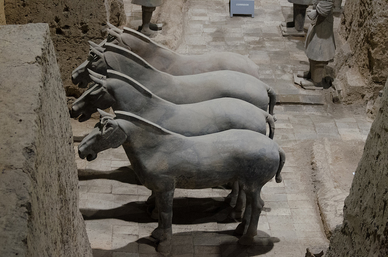 始皇帝陵と兵馬俑坑の画像21