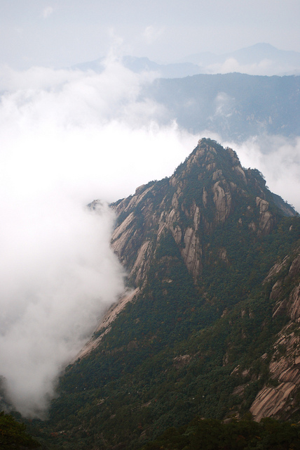 黄山の画像27