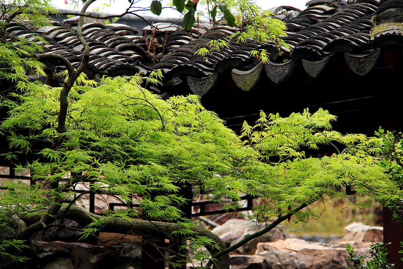 蘇州古典園林の画像1