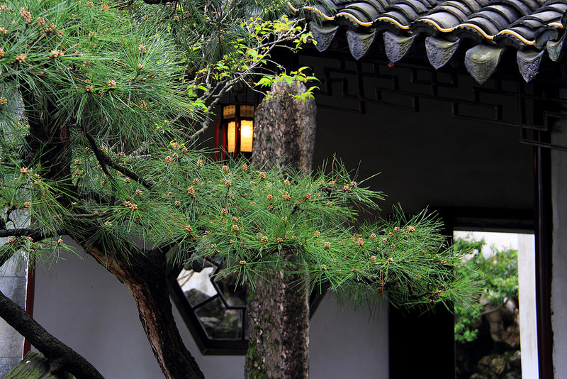 蘇州古典園林の画像3