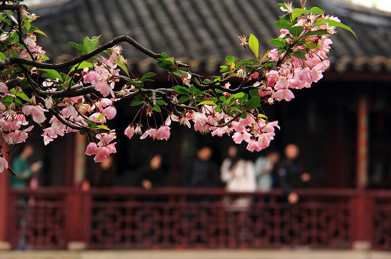 蘇州古典園林の画像4