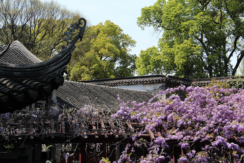 蘇州古典園林の画像21