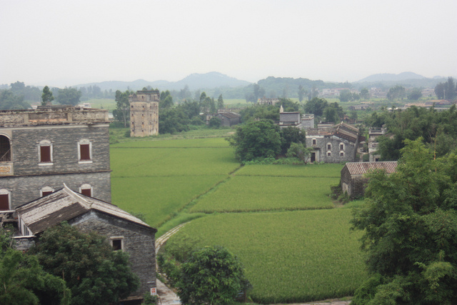 開平の望楼群と村落の画像3