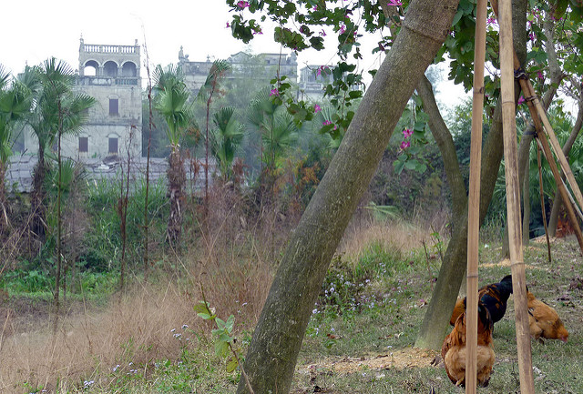 開平の望楼群と村落の画像12