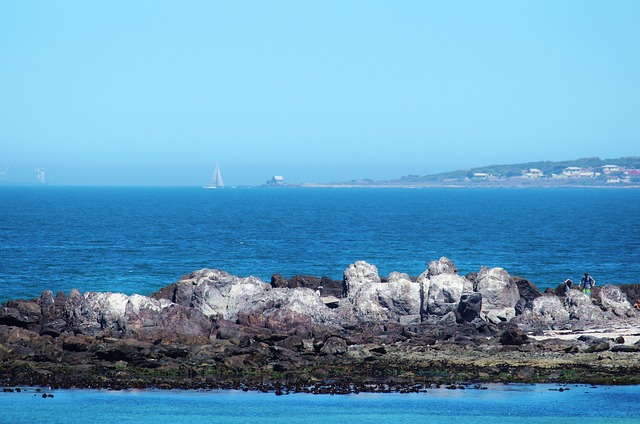 ロベン島の画像6