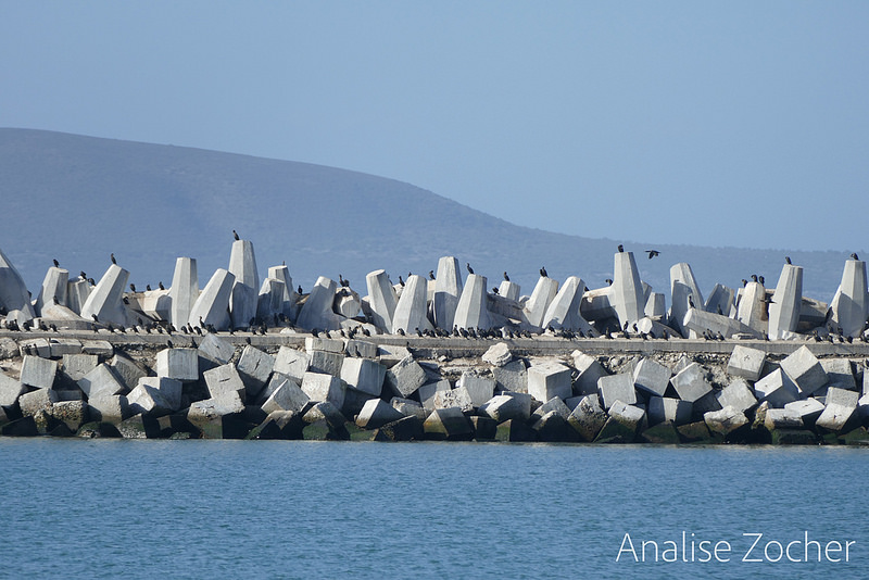 ロベン島の画像8