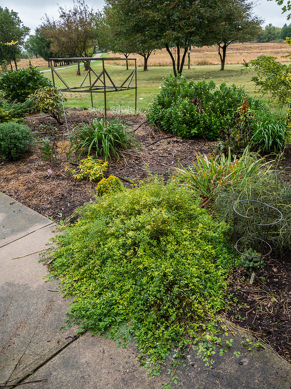 屋久島の画像19