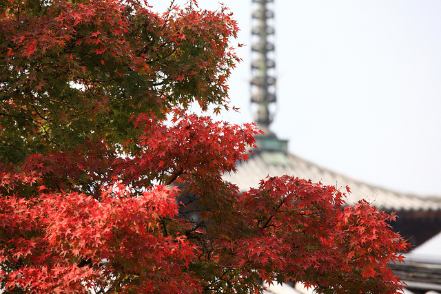 法隆寺地域の仏教建造物の画像10