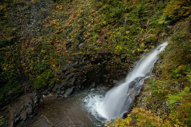 白神山地の画像15