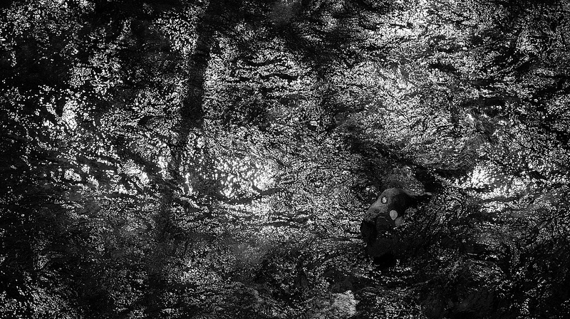 白神山地の画像17