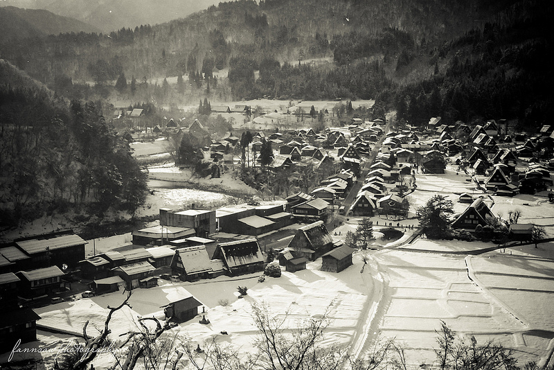 白川郷・五箇山の合掌造り集落の画像6