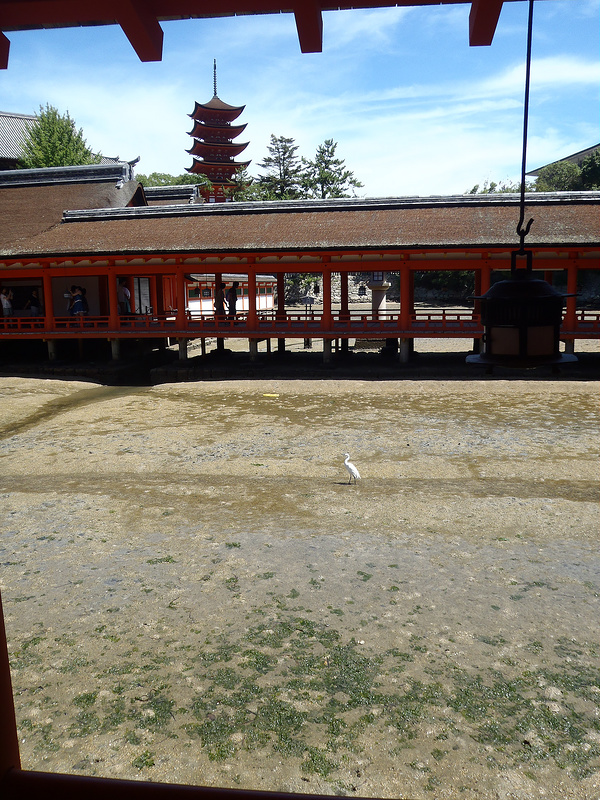 厳島神社の画像15