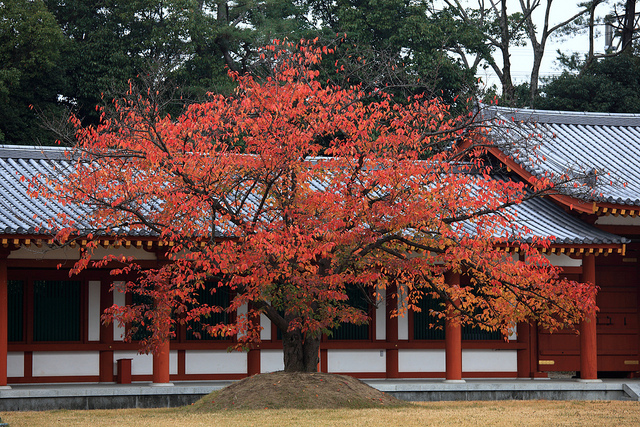 古都奈良の文化財の画像6