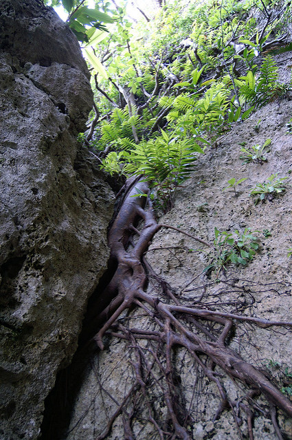 琉球王国のグスク及び関連遺産群の画像2