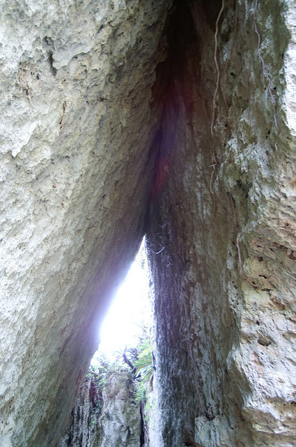 琉球王国のグスク及び関連遺産群の画像4