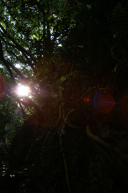 琉球王国のグスク及び関連遺産群の画像13