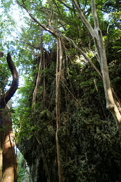 琉球王国のグスク及び関連遺産群の画像14