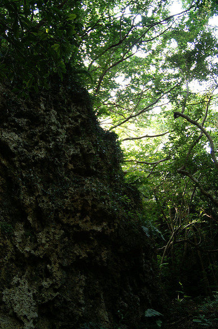 琉球王国のグスク及び関連遺産群の画像15